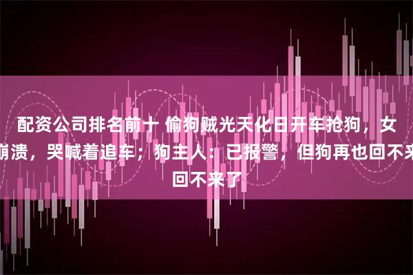 配资公司排名前十 偷狗贼光天化日开车抢狗，女孩崩溃，哭喊着追车；狗主人：已报警，但狗再也回不来了