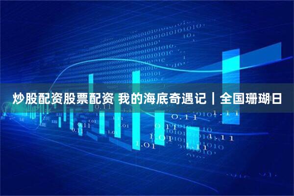 炒股配资股票配资 我的海底奇遇记｜全国珊瑚日